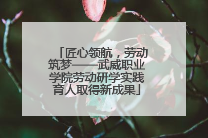 匠心领航，劳动筑梦——武威职业学院劳动研学实践育人取得新成果